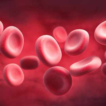 Overview of Anemia